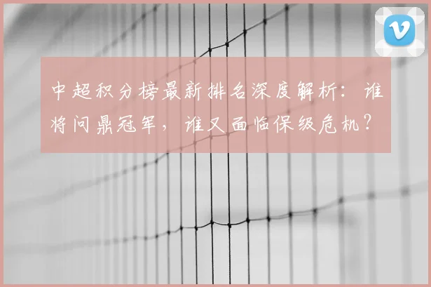 中超积分榜最新排名深度解析：谁将问鼎冠军，谁又面临保级危机？